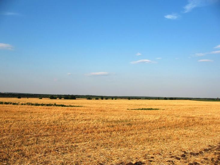 Василівське з panoramio.com - Василівське