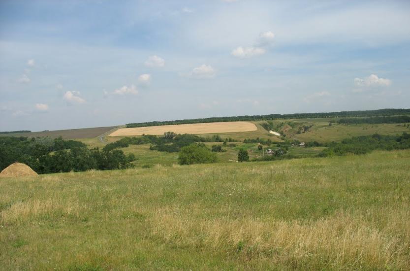 Паламарівка з panoramio.com - Паламаровка