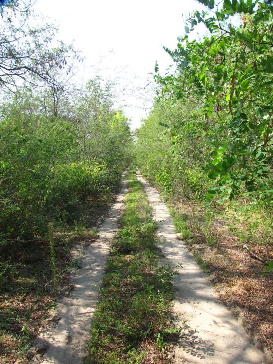 Вовніги з panoramio.com - Вовниги
