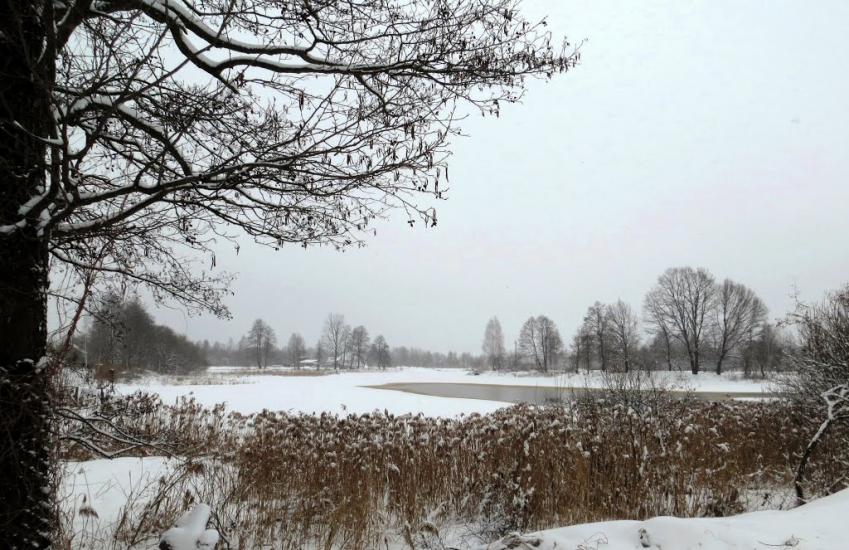 Тепениця з panoramio.com - Тепеница