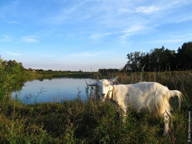 Христофорівка з panoramio.com - Христофоровка