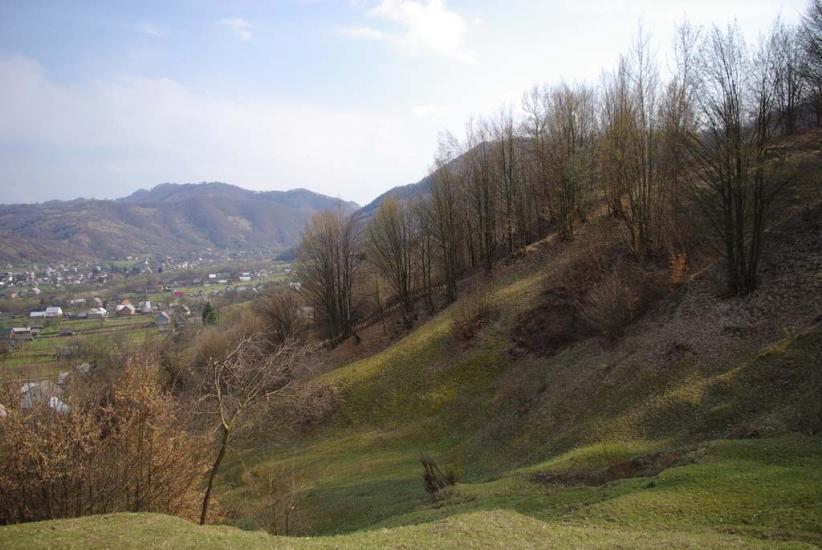 Широкий Луг з panoramio.com - Широкий Луг