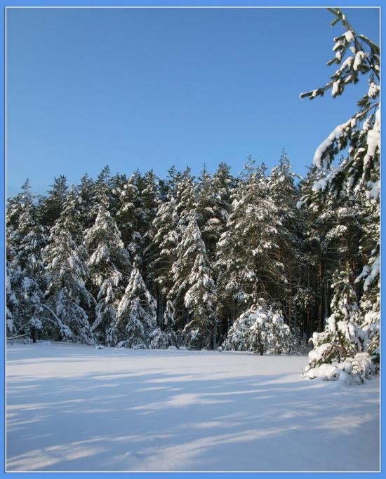 Хмелівка з panoramio.com - Хмелівка