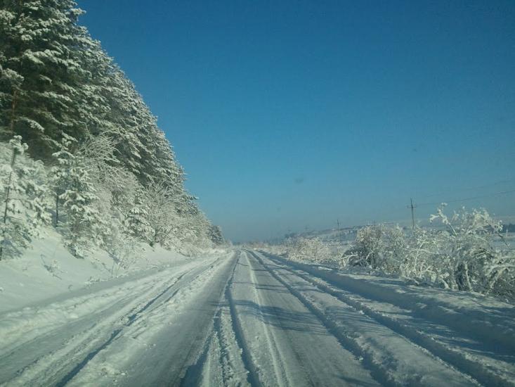 Саранчуки з panoramio.com - Саранчуки