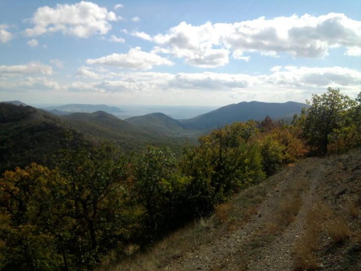 Лісне з panoramio.com - Лісне