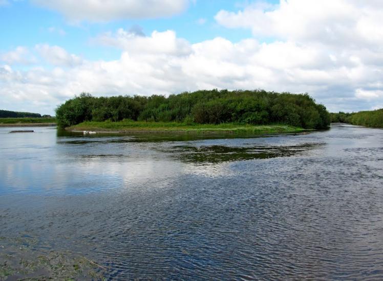 Старий Чорторийськ з panoramio.com - Старый Чарторийск