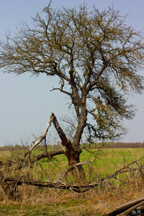 Заріцьк з panoramio.com - Zaritsk