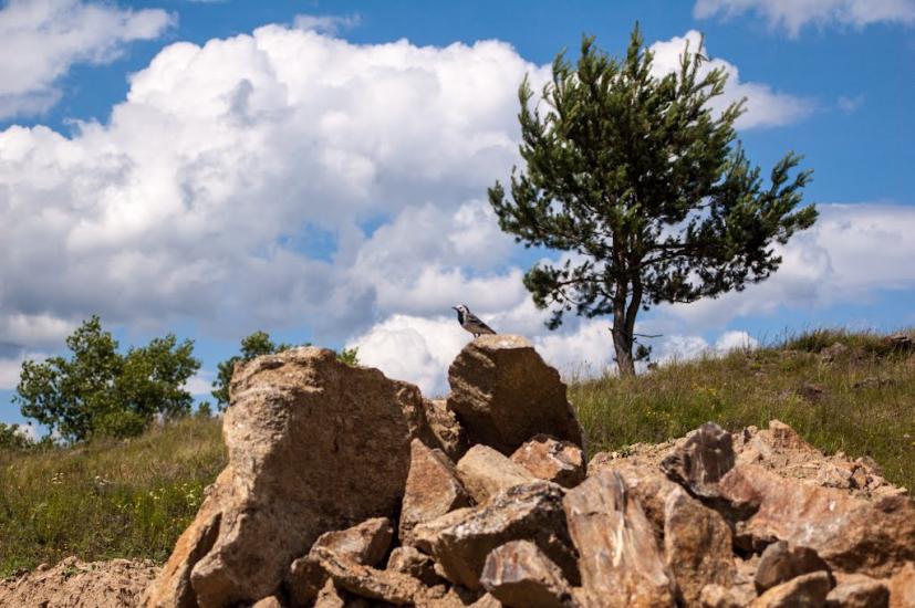Устя з panoramio.com - Устя