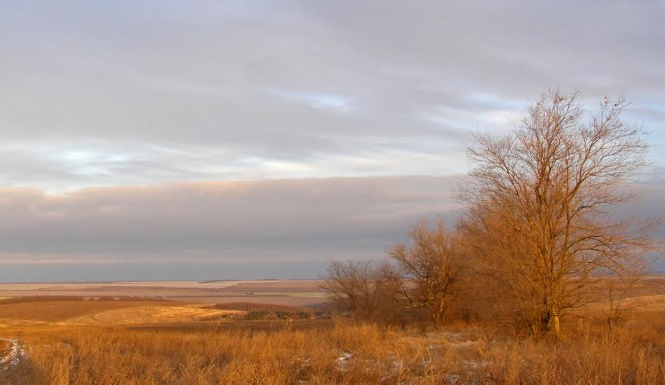 Олег з panoramio.com - Oleg