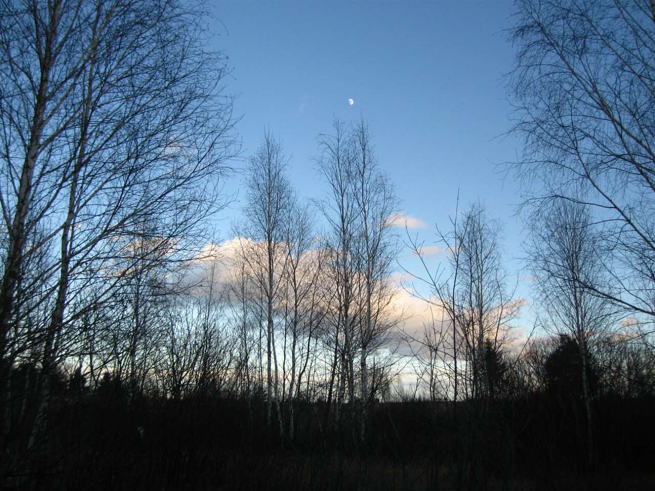 І СВІТАЄ, І СМЕРКАЄ - Небылов