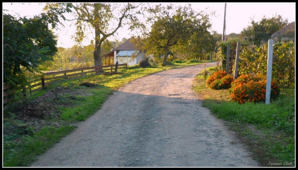 Астей з panoramio.com - Астей