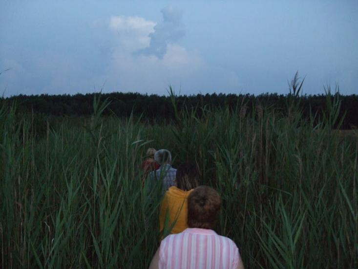 Бахів з panoramio.com - Бахів