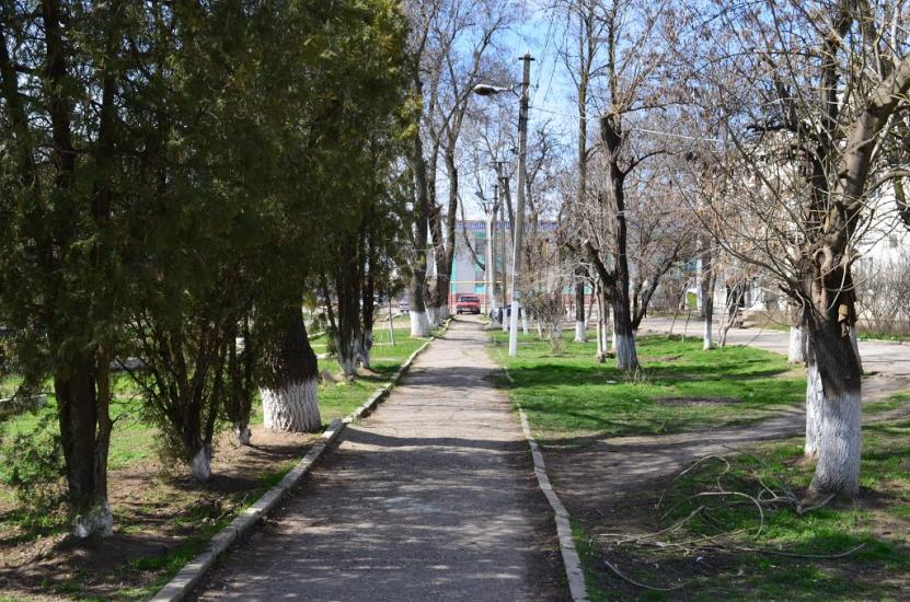 Амурське з panoramio.com - Амурское