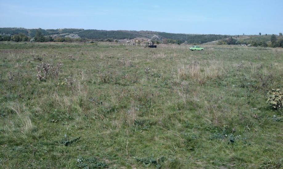 Софіївка з panoramio.com - Софиевка