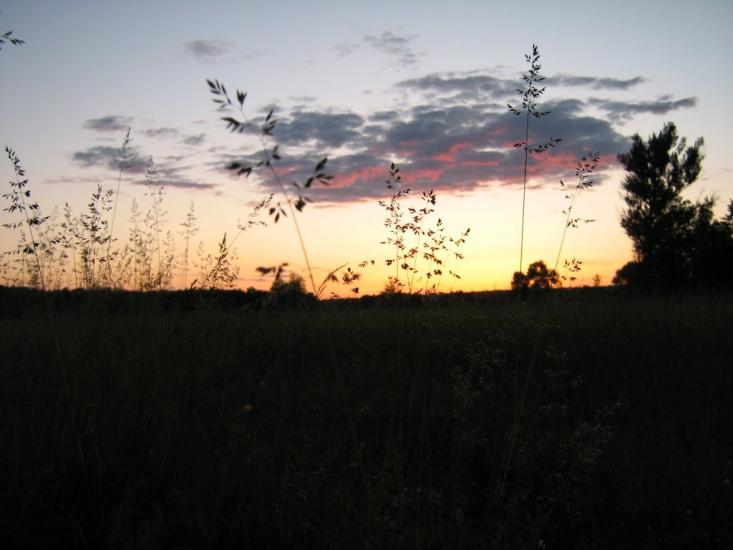 Таганка з panoramio.com - Таганка