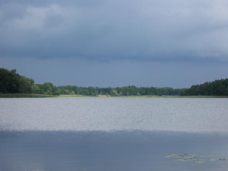 Мельники з panoramio.com - Мельники