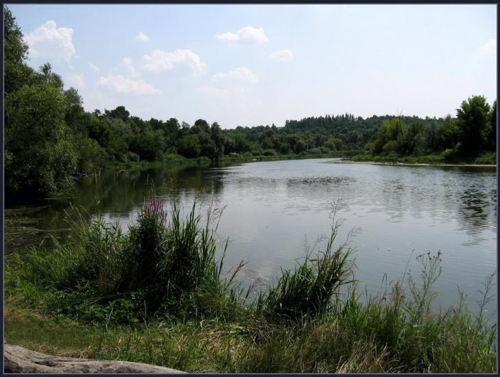 Сорокодуби з panoramio.com - Сорокодуби