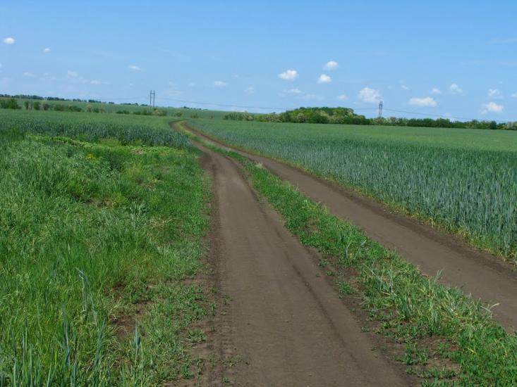 Першотравенськ з panoramio.com - Першотравенск