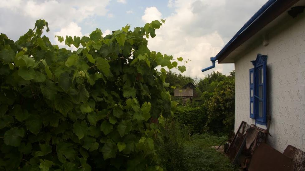 Хорішки з panoramio.com - Хорішки