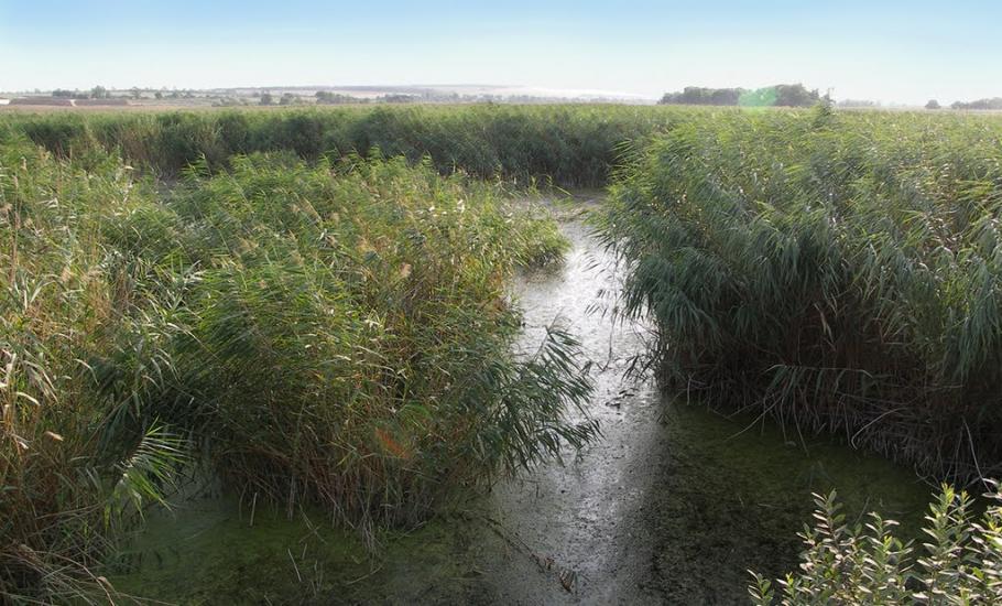 Дмитрівка з panoramio.com - Дмитрівка