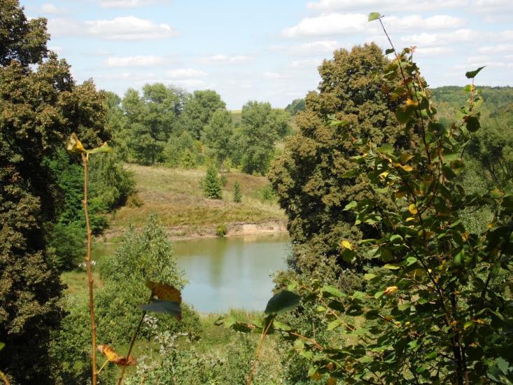 Ступаківка з panoramio.com - Ступаковка