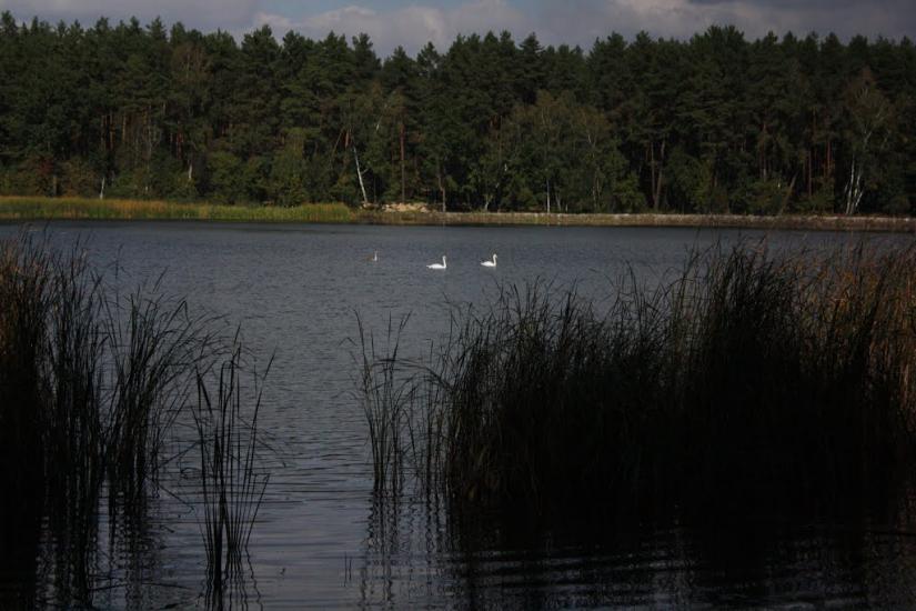 Хоцьки з panoramio.com - Хоцки