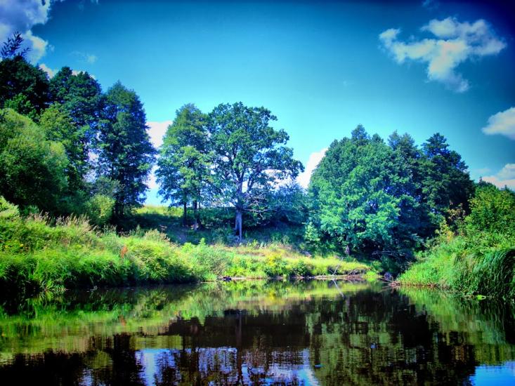 Олевськ з panoramio.com - Олевск