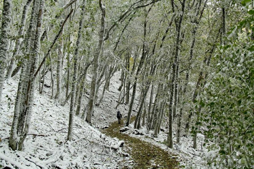 Лісне з panoramio.com - Лісне