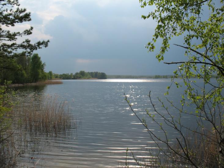 Кропивенка з panoramio.com - Крапивинка