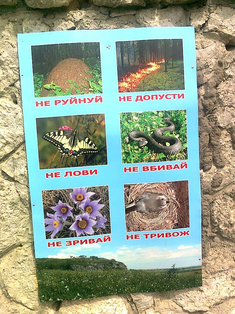 Паївка з panoramio.com - Паевка