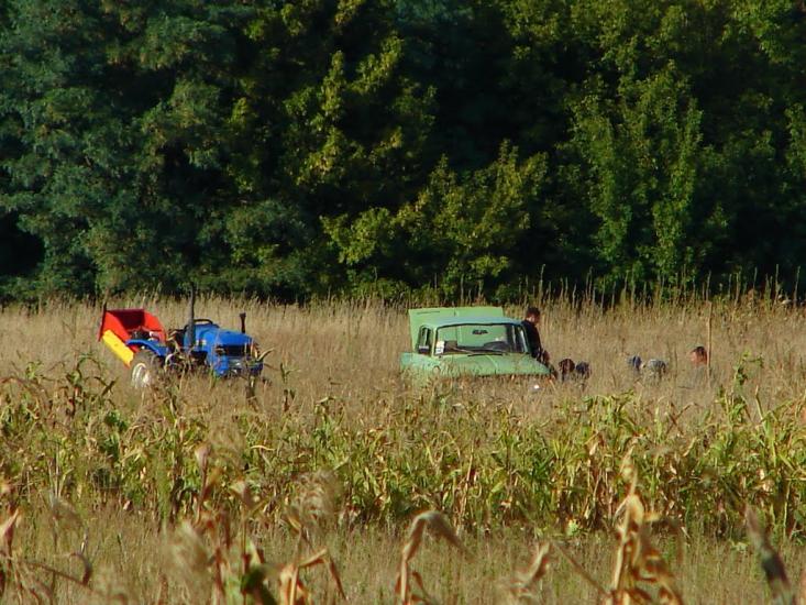 Старий Білоус з panoramio.com - Старий Білоус