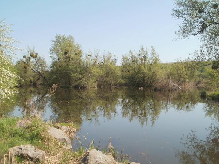 Четвертинівка з panoramio.com - Четвертинівка