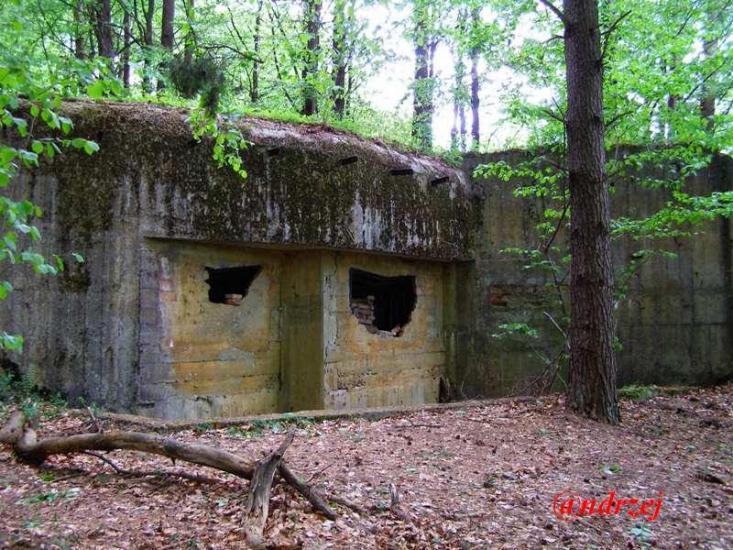 Дев'ятир з panoramio.com - Девятир