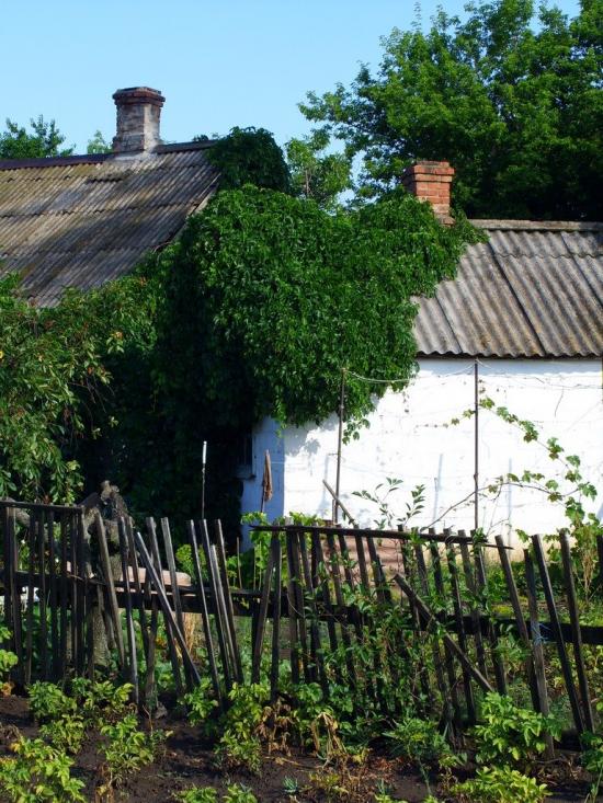 Саханка з panoramio.com - Саханка