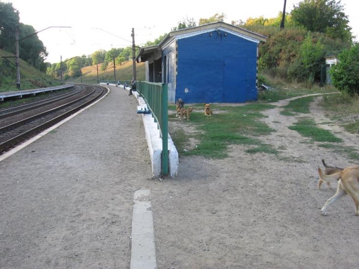 Гусина Поляна з panoramio.com - Гусина Поляна