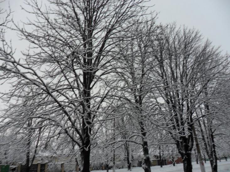Українськ з panoramio.com - Украинск