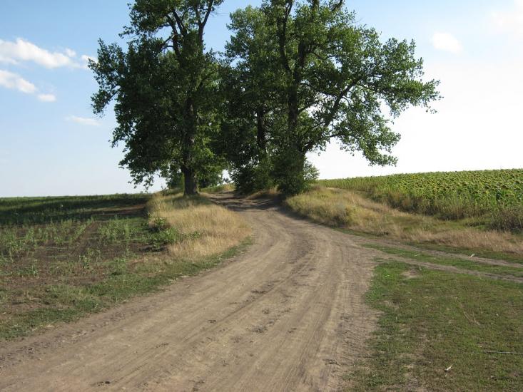 Олексіївка з panoramio.com - Олексіївка