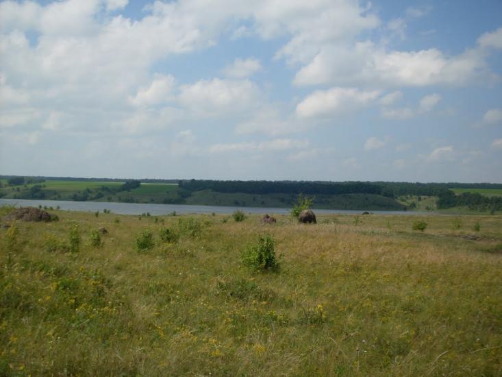 Щурівці з panoramio.com - Щурівці