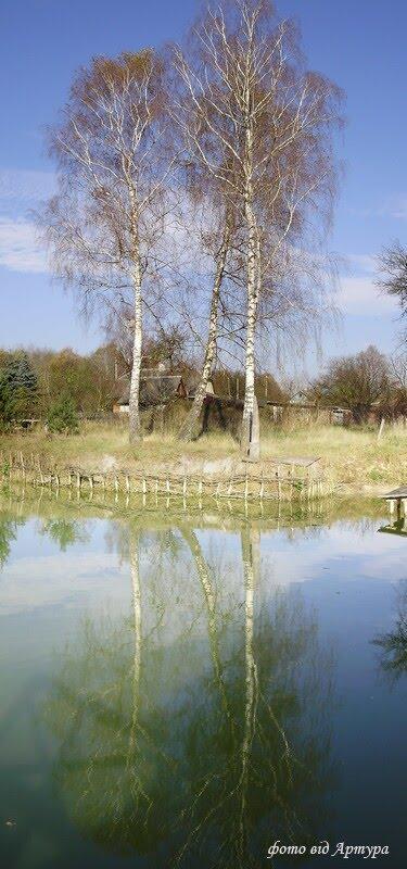 Ліски з panoramio.com - Лески