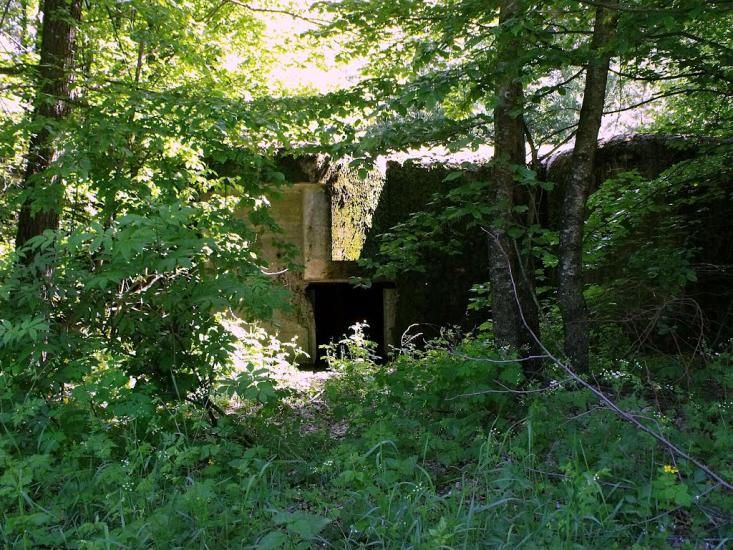 Велика Любаша з panoramio.com - Велика Любаша