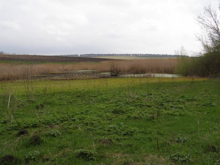 Червоний Кут з panoramio.com - Червоний Кут