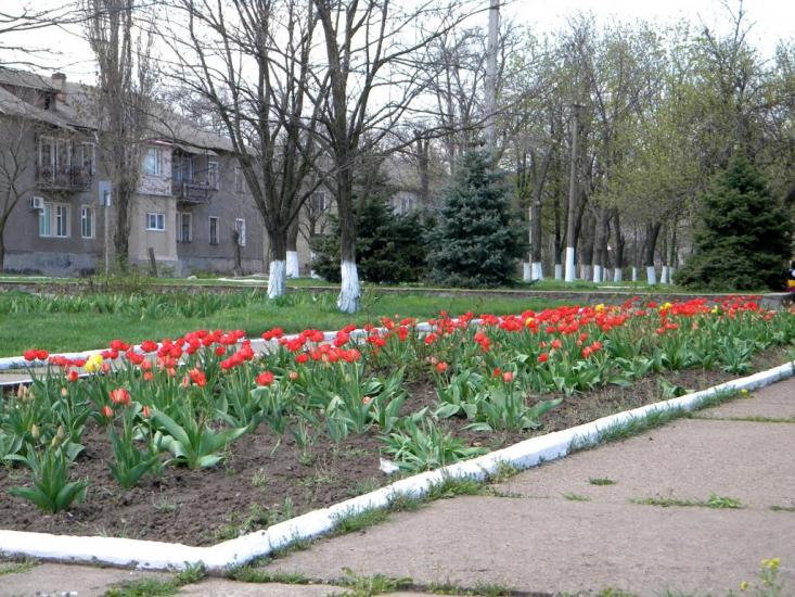 Снігурівка з panoramio.com - Снигиревка