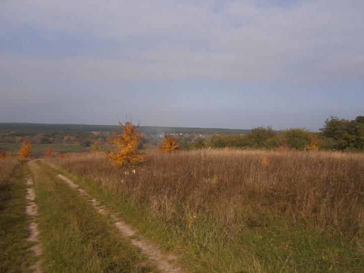 Нечаївка з panoramio.com - Нечаевка