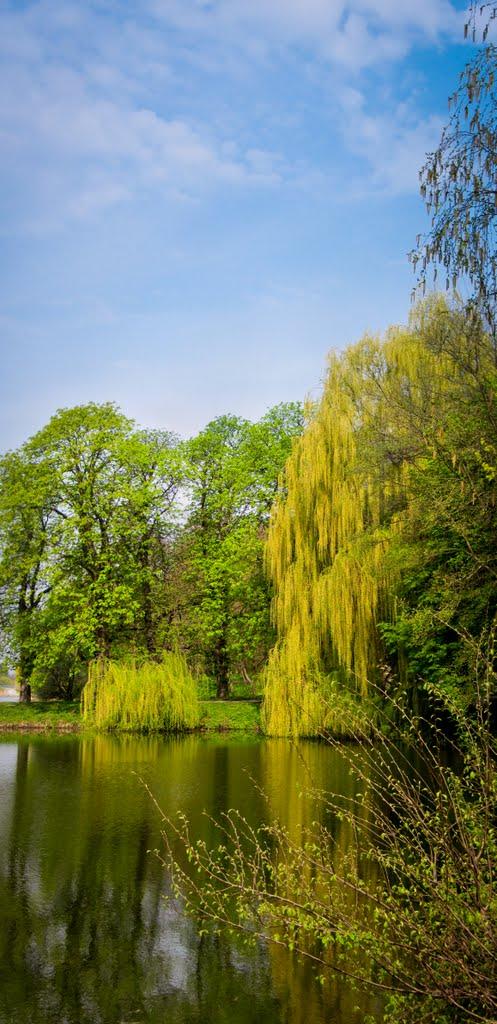 Андрушівка з panoramio.com - Андрушевка