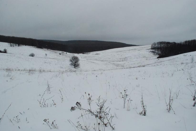 Великі Будища з panoramio.com - Великие Будища