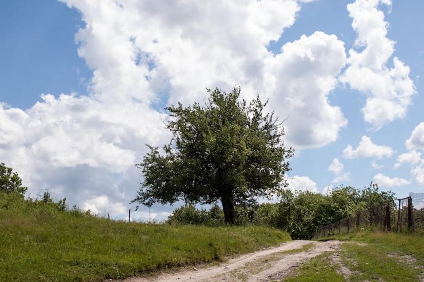 Устя з panoramio.com - Устя