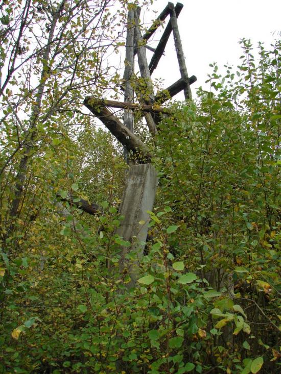 Шкуранка з panoramio.com - Шкуранка