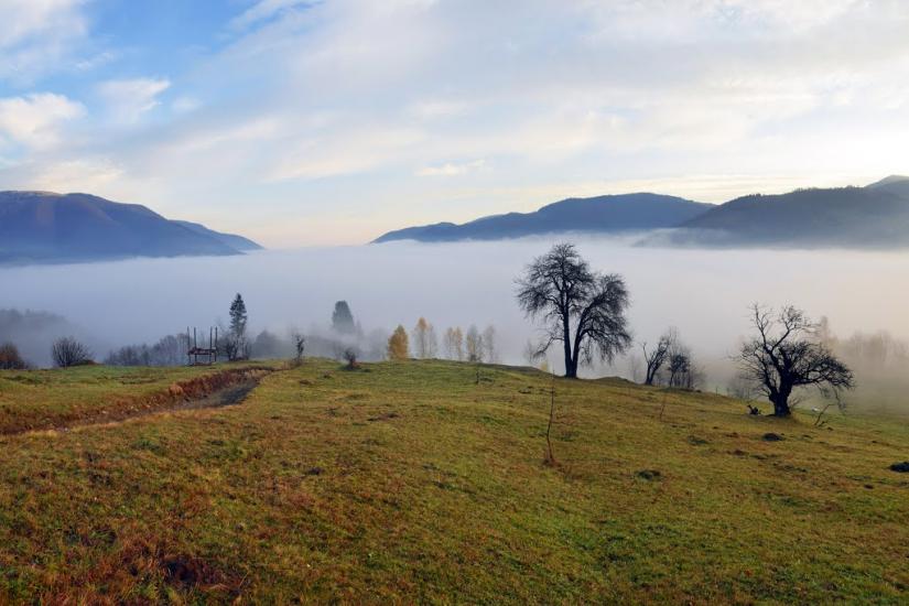 Кваси з panoramio.com - Квасы