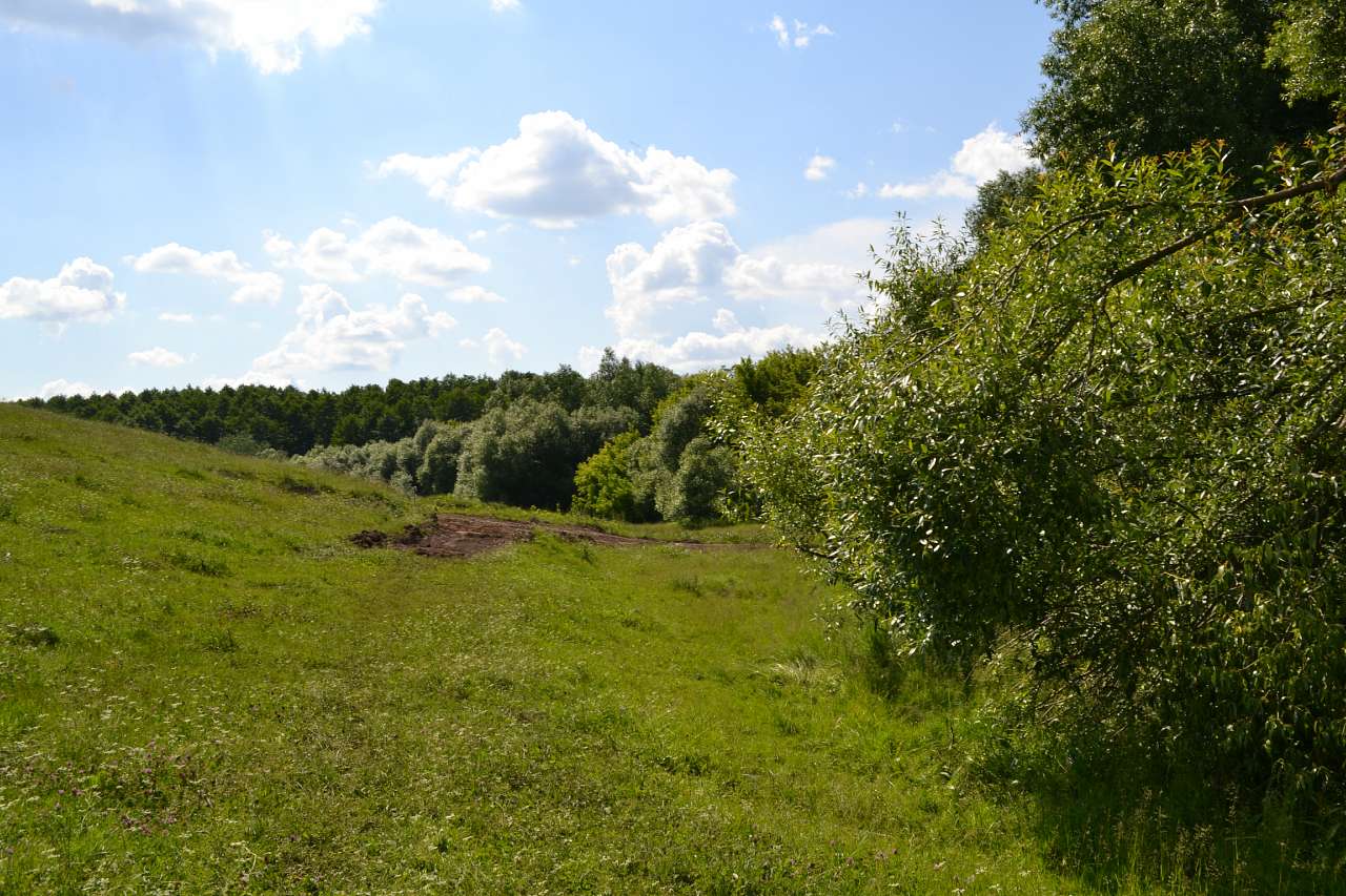 рогачі - Рогачі