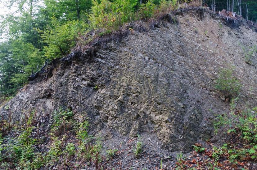 Чорноголова з panoramio.com - Черноголова